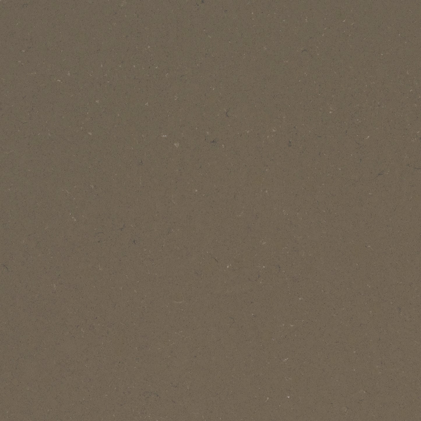 Fossil Brown quartz countertops