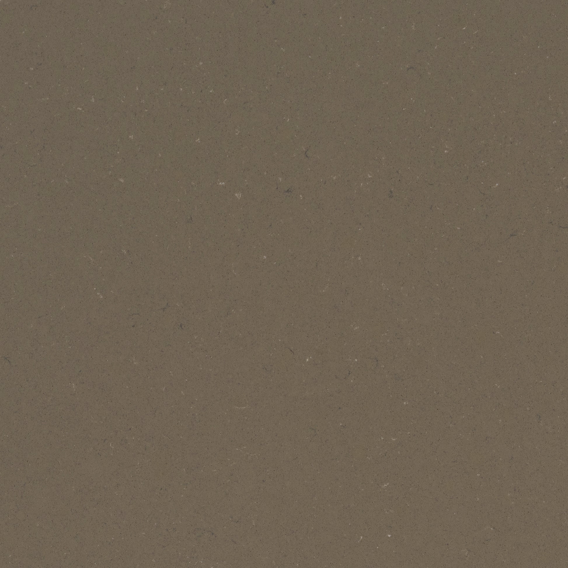Fossil Brown quartz countertops