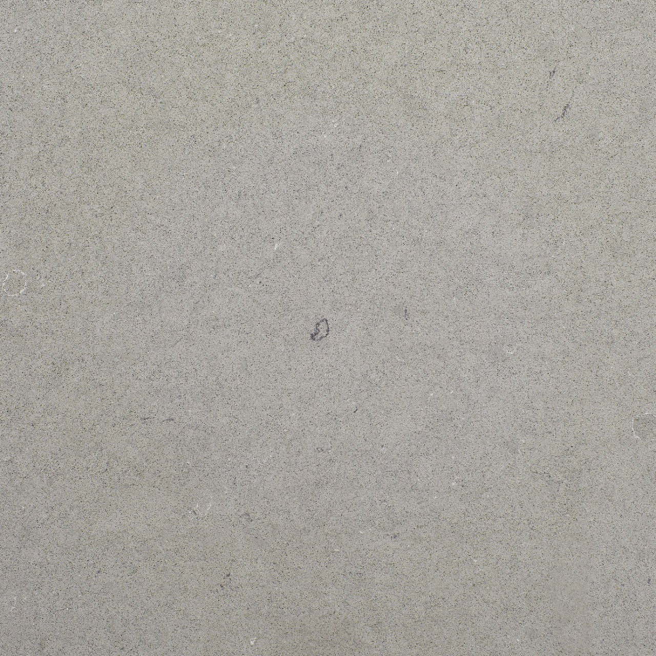 Fossil Gray Matte quartz