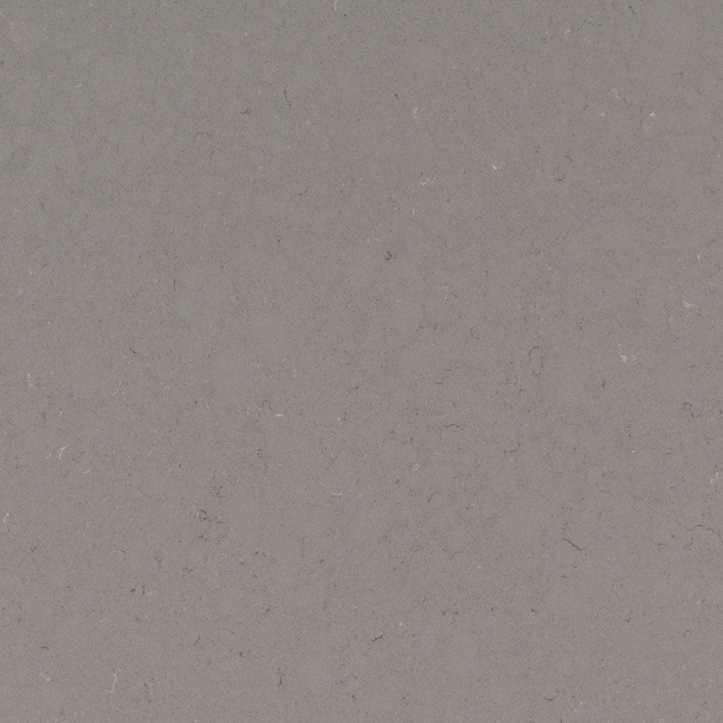 Fossil Gray quartz