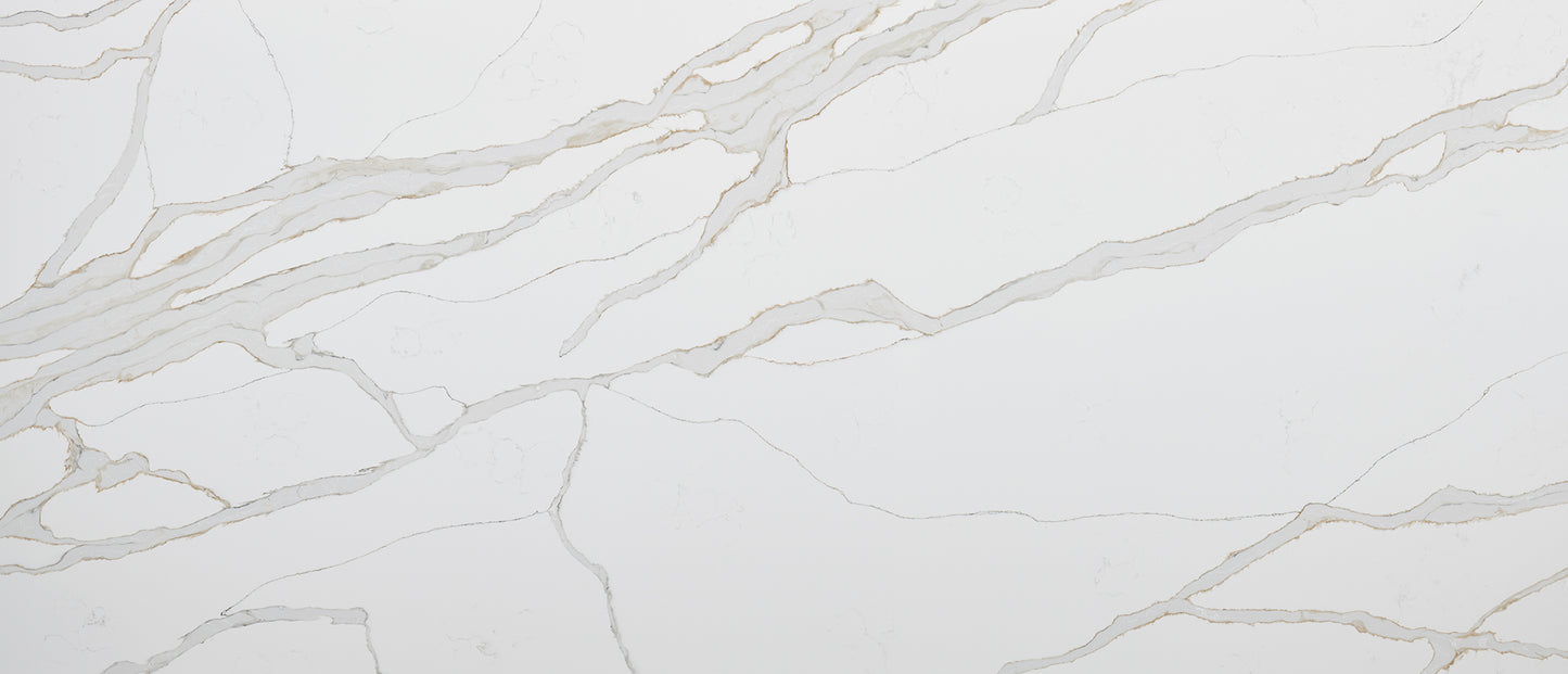 Calacatta Solessio Bookmatched