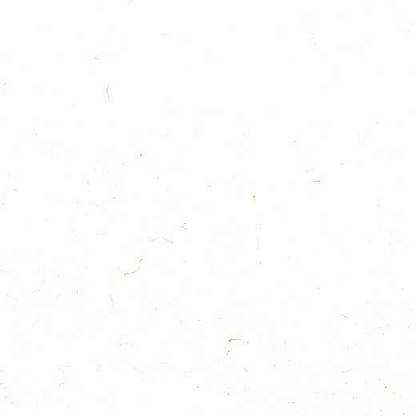 Carrara Prima Gold Quartz
