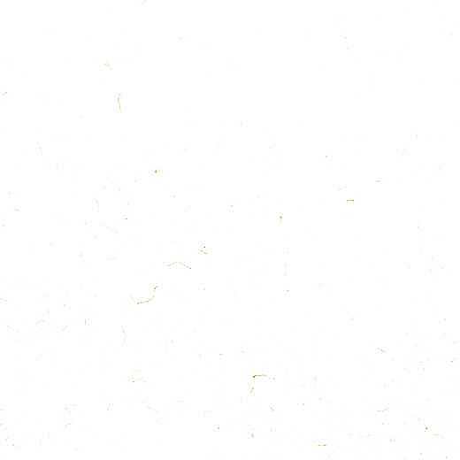Carrara Prima Gold Quartz