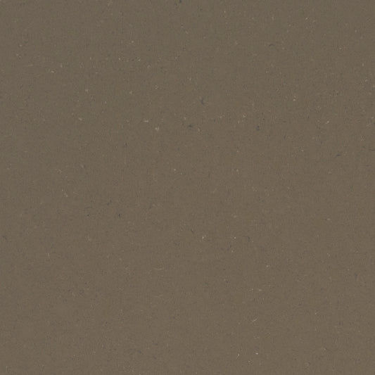 Fossil Brown quartz countertops