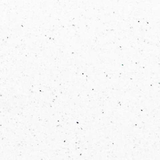Luminous White Quartz
